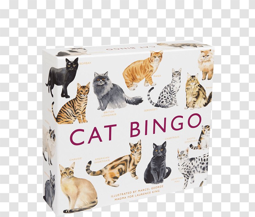 Cat Bingo Siamese Tonkinese Book Transparent PNG