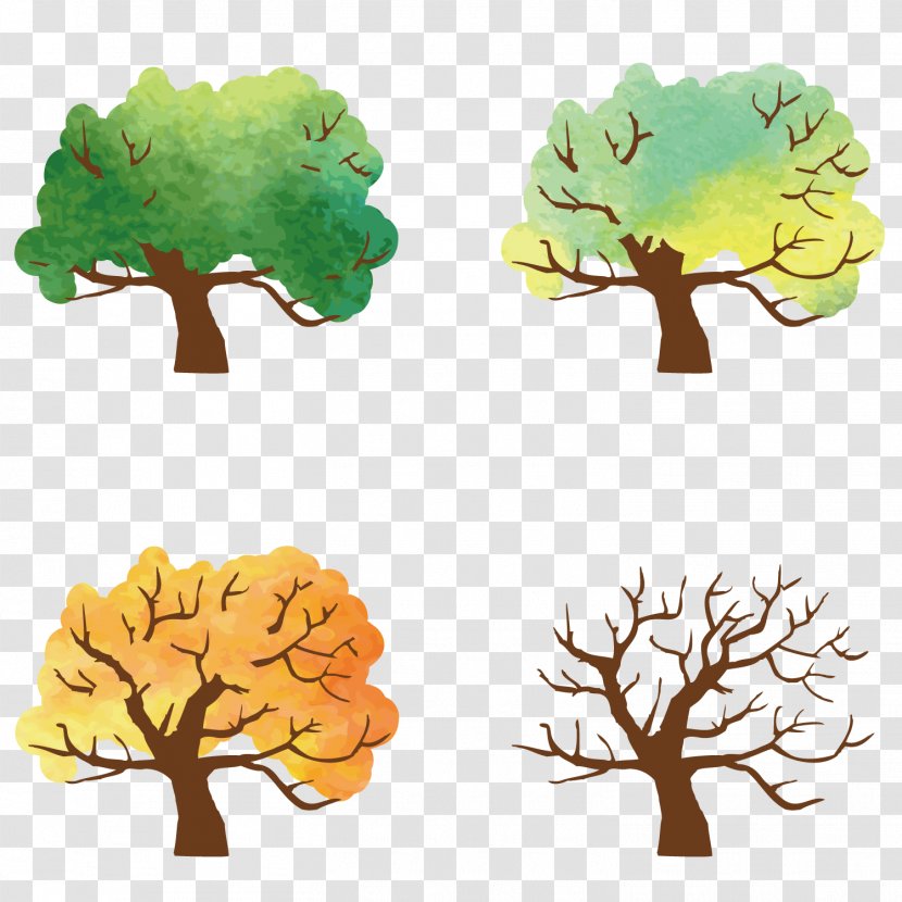 Season Spring Download - Organism - And Summer Autumn Winter Trees Transparent PNG