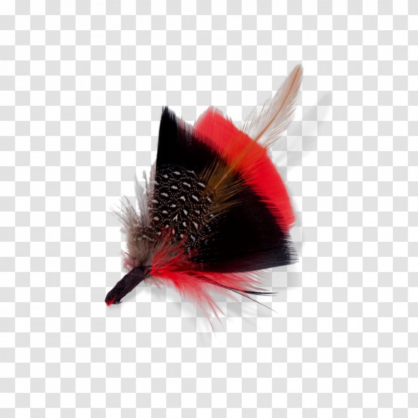 Goorin Bros. Hat Insect Design Color - Invertebrate - Feather Material Transparent PNG