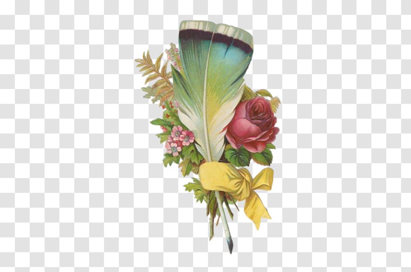 Clip Art - Flower Arranging - Feather Transparent PNG