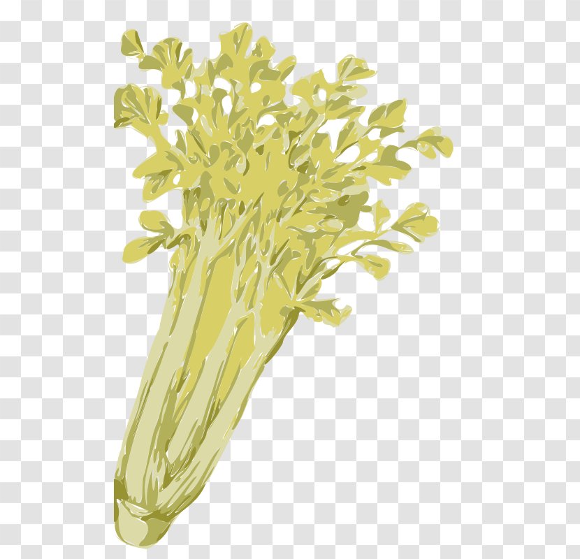 Celery Vegetable Clip Art - Yellow Transparent PNG