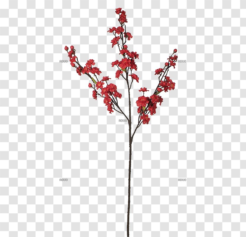 Twig Flower Red Plant Stem Branch - Pink - Deko Transparent PNG
