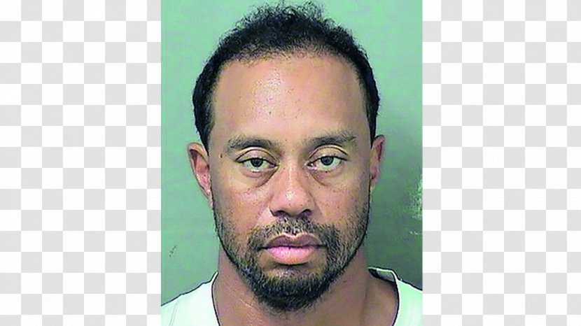 Tiger Woods Florida The US Open (Golf) Arrest - Us Golf Transparent PNG