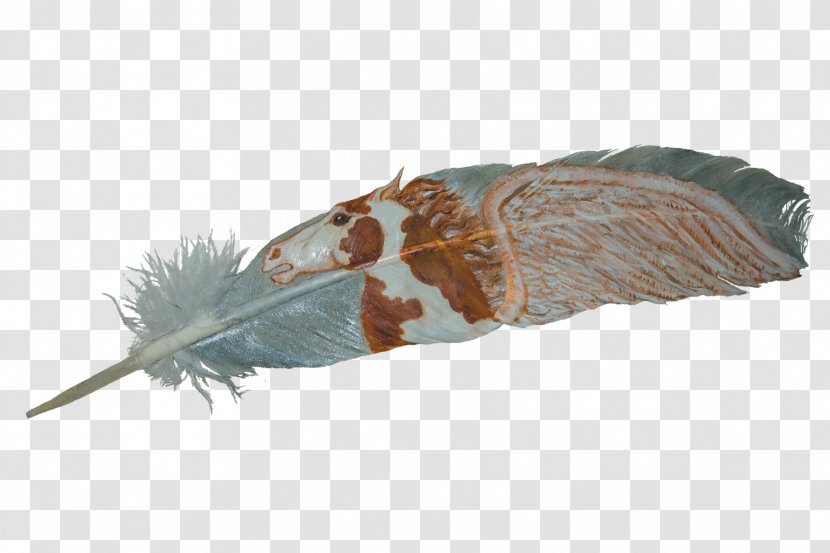 Eagle Feather Law Owl Adobe Photoshop - Invertebrate Transparent PNG