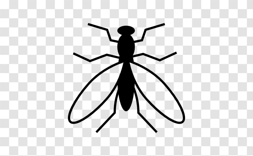 Mosquito The Icons - Wing Transparent PNG