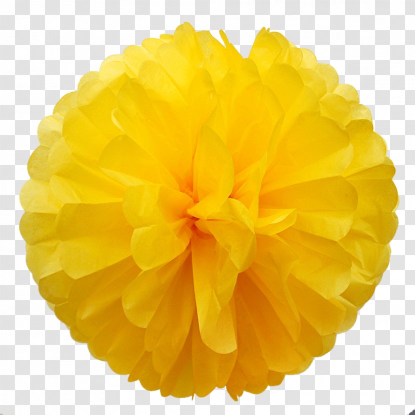 Paper Pom-pom Yellow GRUPO GALDIAZ Color - Pictures Of Cheerleading Pom Poms Transparent PNG