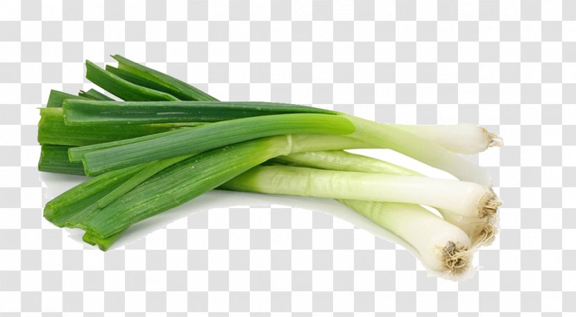 Scallion Shallot Vegetable Garlic Food - Spice - Organic Vegetables Green Onions Transparent PNG