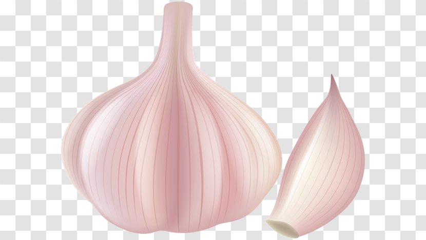 Garlic Clip Art - Shallot Transparent PNG