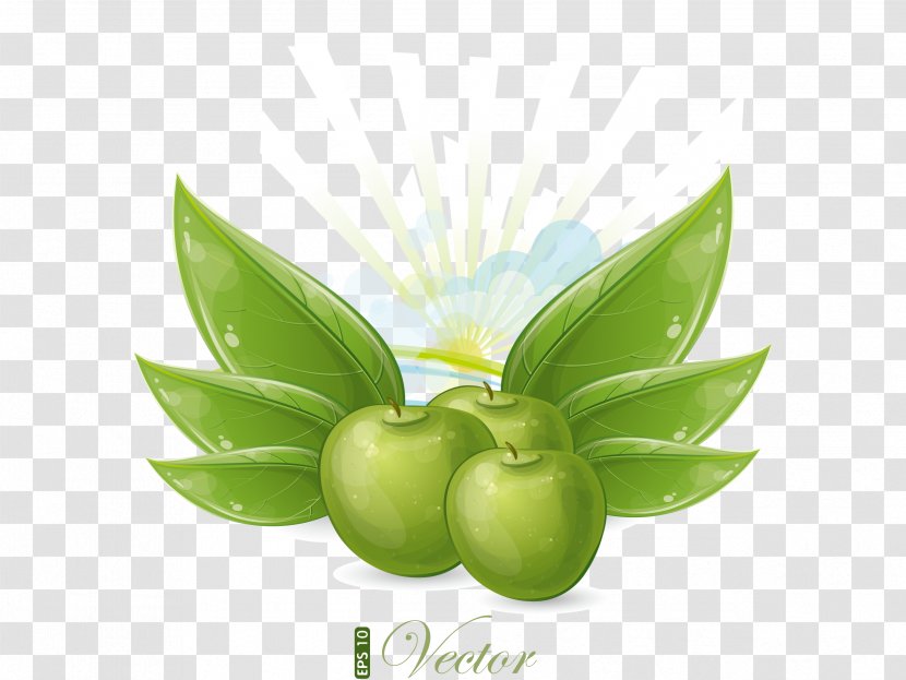 Green Apple - Painted Transparent PNG