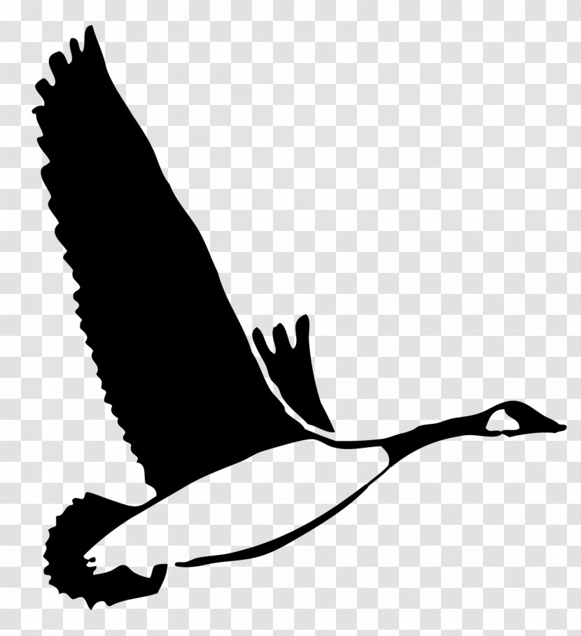 Duck Goose Feather Silhouette Clip Art - Water Bird Transparent PNG