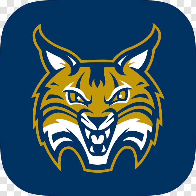 Quinnipiac University Bobcats Men's Basketball Women's Baseball Lacrosse - Silhouette Transparent PNG