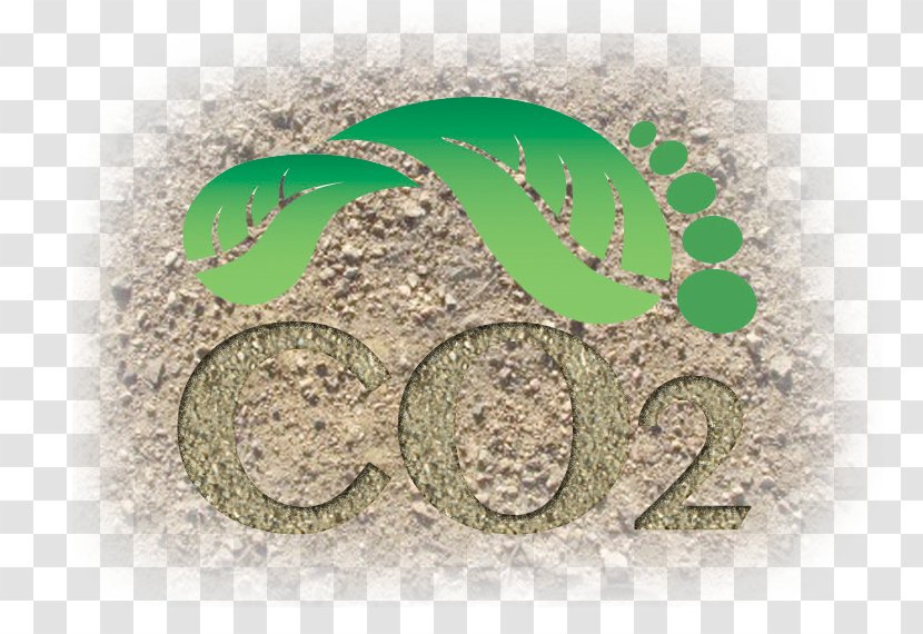 Carbon Footprint Dioxide Equivalent Greenhouse Gas Ecological - Green Transparent PNG