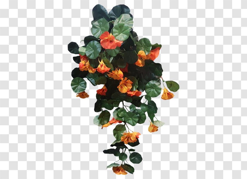 Nasturtium Shrub Plant Leaf Bush Transparent PNG