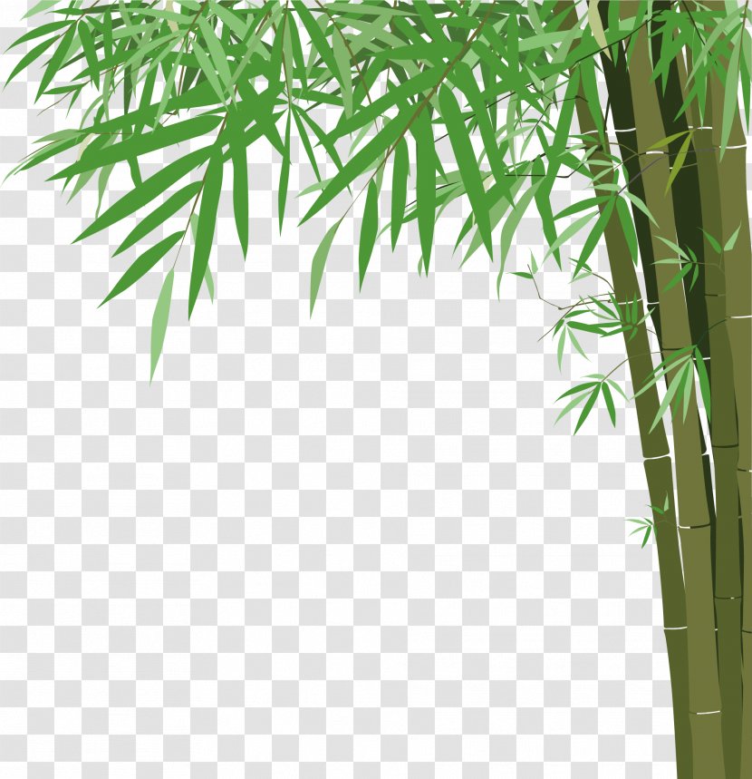 Bamboo Euclidean Vector Illustration - Flowerpot - Material Transparent PNG