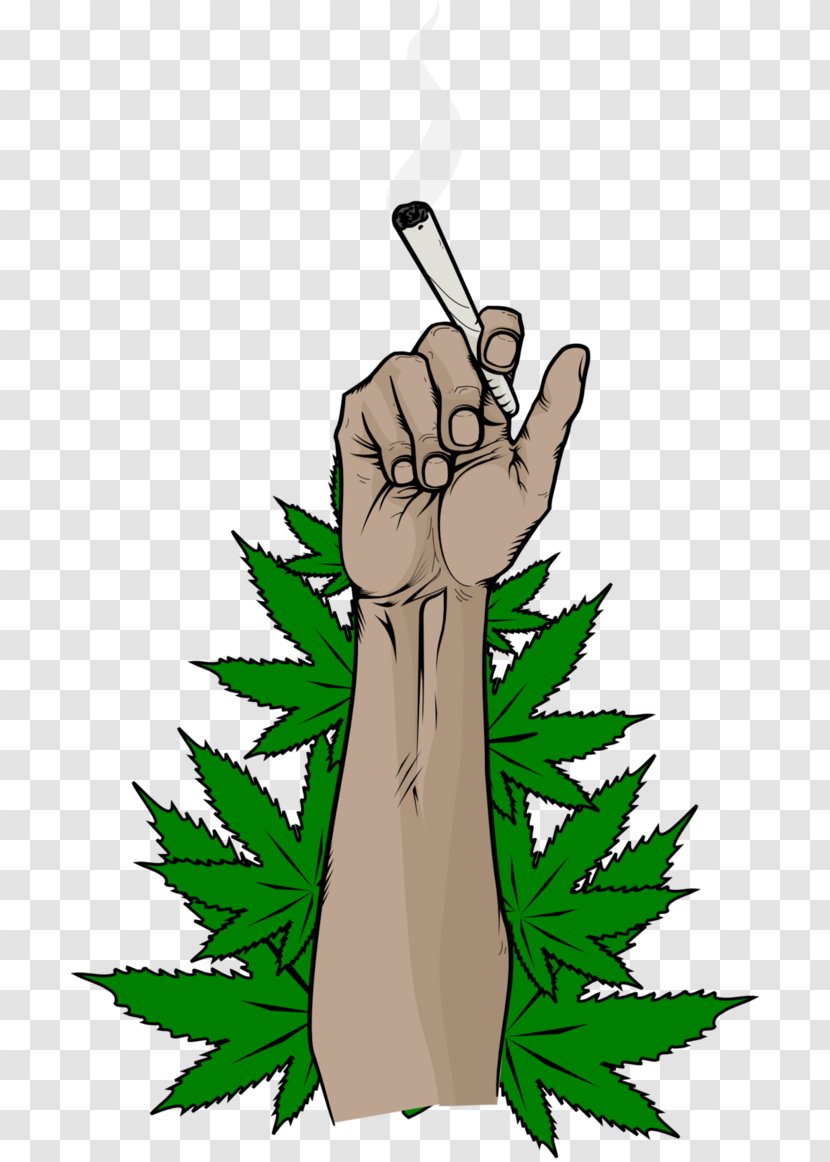 Hash, Marihuana & Hemp Museum Medical Cannabis Clip Art - Plant Stem Transparent PNG