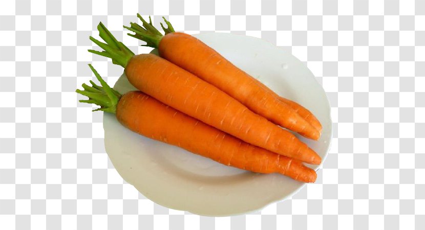 Carrot Radish Food Root Vegetable - Traditional Chinese Medicine - A Transparent PNG