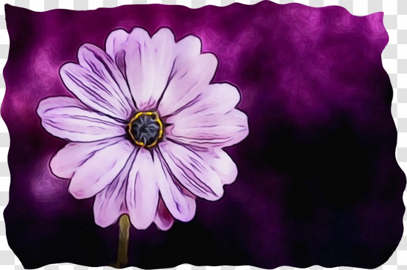 Pink Flower Cartoon - Phrase - Pillow Cosmos Transparent PNG