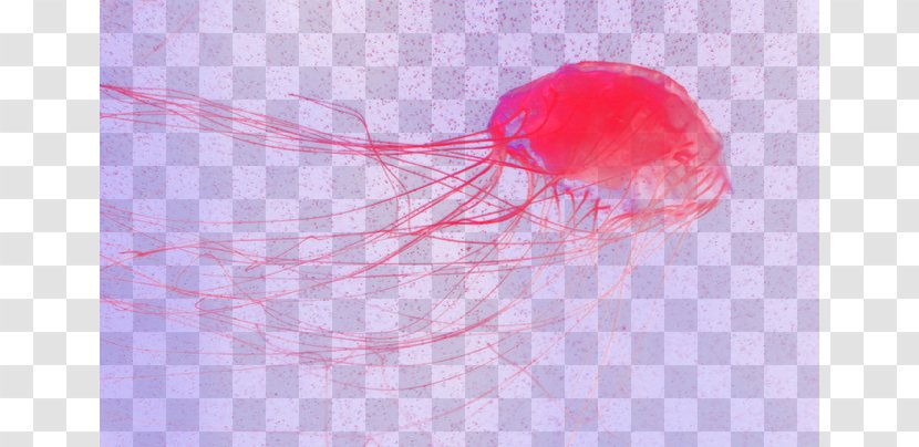 Red Petal Invertebrate - Dream Jellyfish Transparent PNG