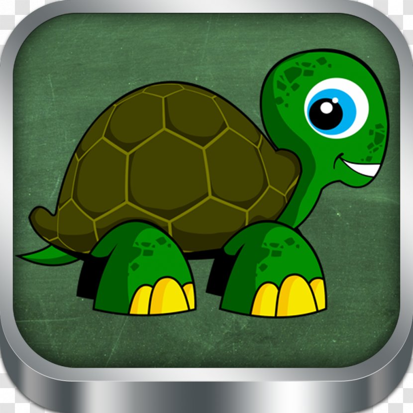 Tortoise Turtle Green - Organism - Hexa Transparent PNG