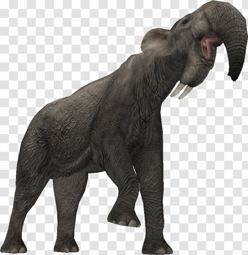 Indian Elephant African Zoo Tycoon 2: Extinct Animals Deinotherium - Forest Transparent PNG
