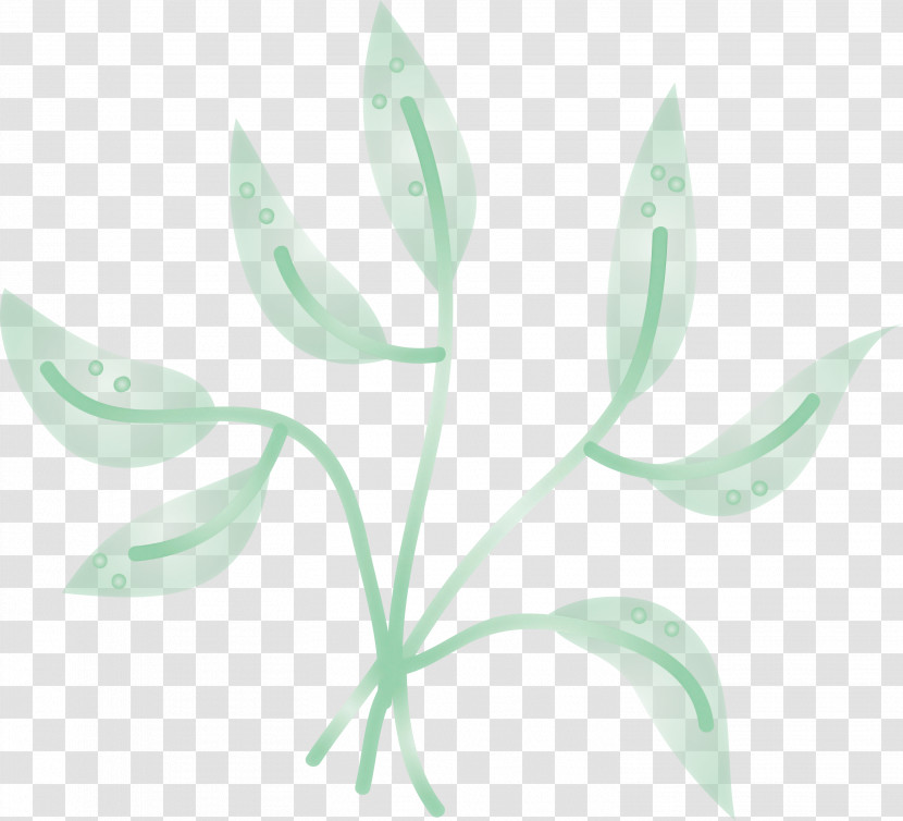 Floral Design Transparent PNG