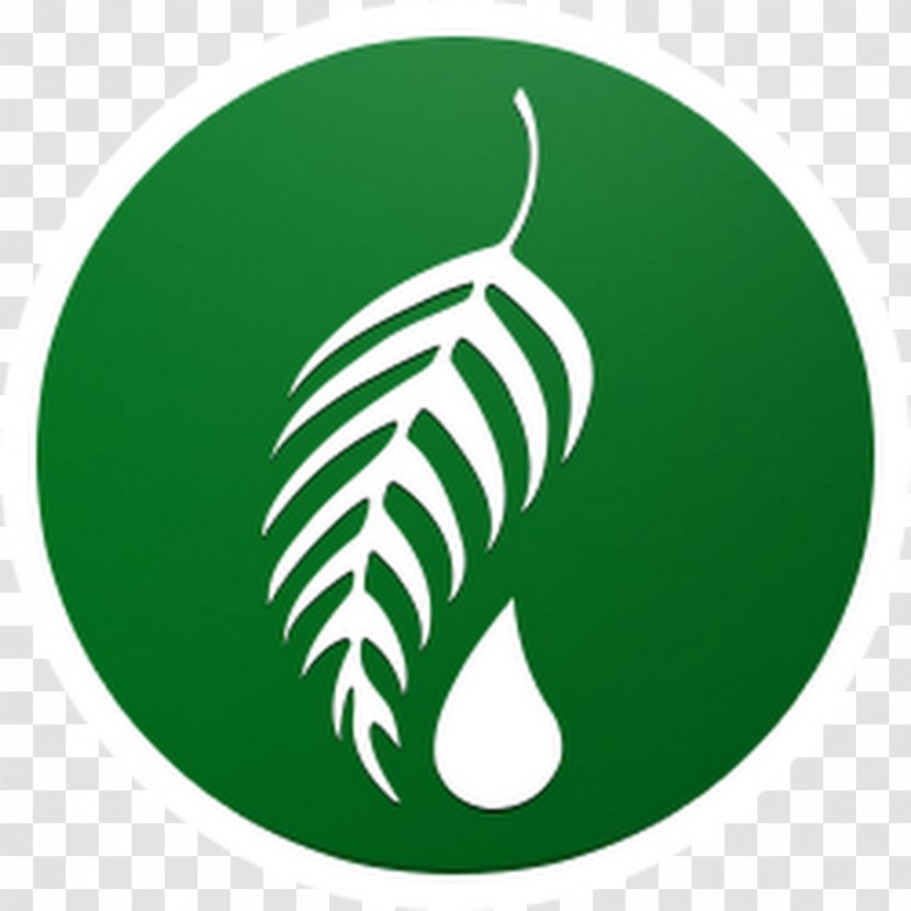 Melaleuca Quinquenervia Logo Narrow-leaved Paperbark Synonyms And Antonyms - Grass - Essential Oil Transparent PNG