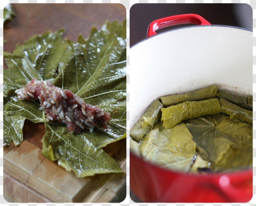 Chard Vegetarian Cuisine Recipe Dish Food - Stuffed Grape Leaves Transparent PNG