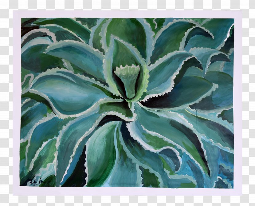 Agave Azul Succulent Plant Aloe Vera Flowering Transparent PNG