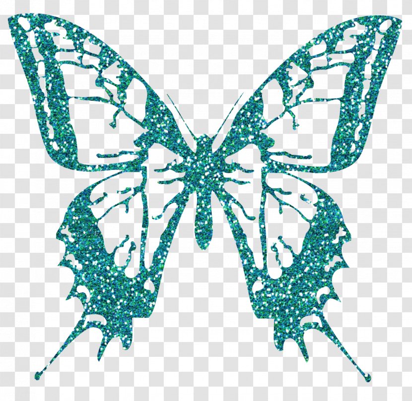 Swallowtail Butterfly Papilio Multicaudata Clip Art - Invertebrate - Buterfly Transparent PNG