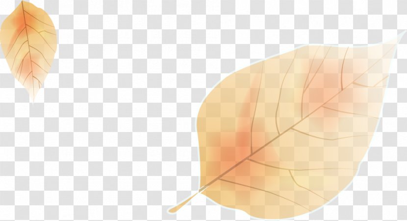 Leaf Angle - Peach - Cartoon Autumn Leaves Transparent PNG