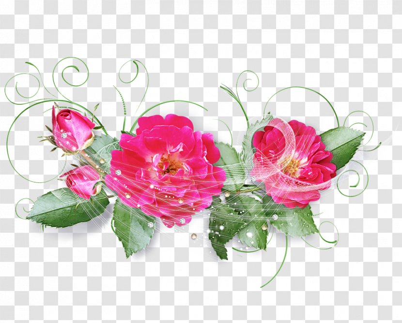 Rose - Family Bouquet Transparent PNG