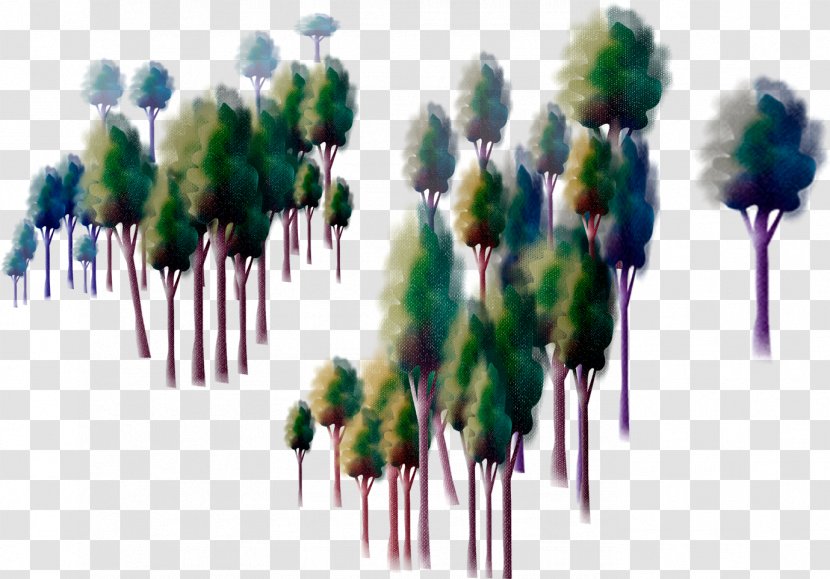 Tree 树林 Cartoon - Design Transparent PNG