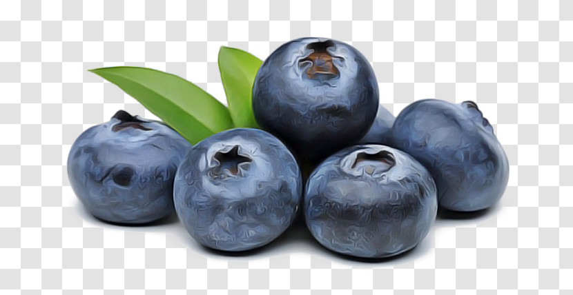 Fruit European Plum Berry Superfood Bilberry Transparent PNG