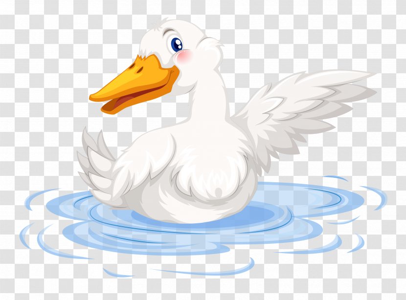 Duck Goose Illustration - Vector Ducks Transparent PNG