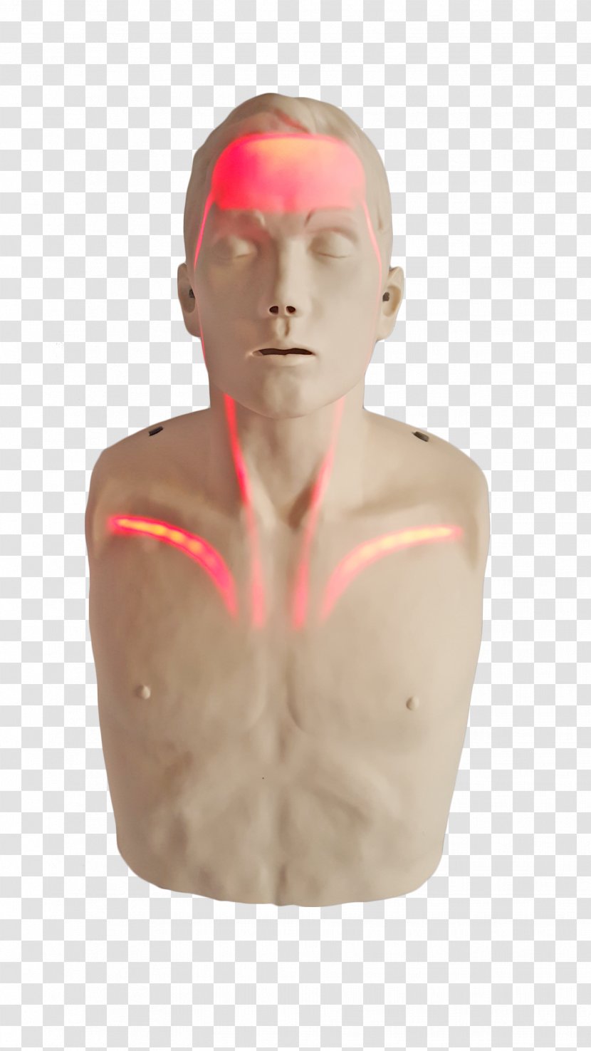 Cardiopulmonary Resuscitation Mannequin Transparent Anatomical Manikin Light Transparent PNG