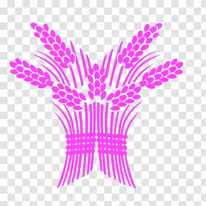 Graphic Design Illustration - Magenta - Hand-painted Rice Transparent PNG