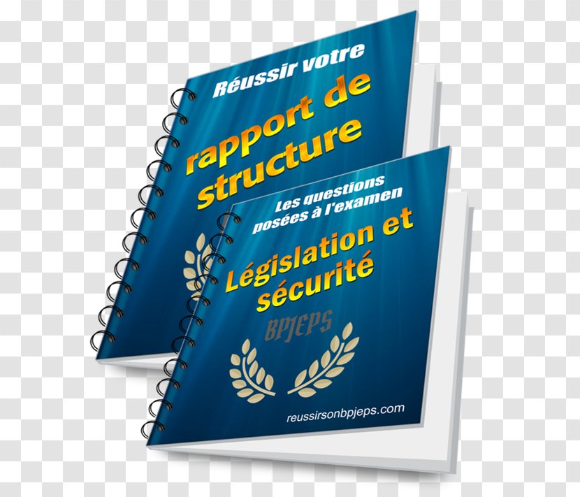 Brevet Professionnel De La Jeunesse, L'éducation Populaire Et Du Sport Personal Trainer Physical Fitness D'État D'éducateur Sportif Diplôme Directeur Projet D'animation Développement - Brand - Rapport Transparent PNG