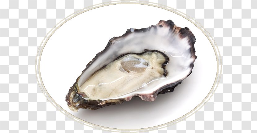 Oyster Mushroom Clam Seafood - Animal Source Foods - Pearl Transparent PNG