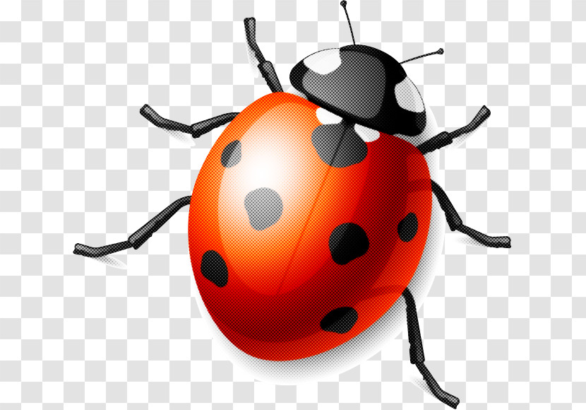 Ladybug Transparent PNG