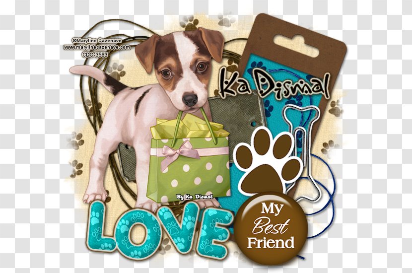 Dog Breed Puppy Leash Snout Transparent PNG