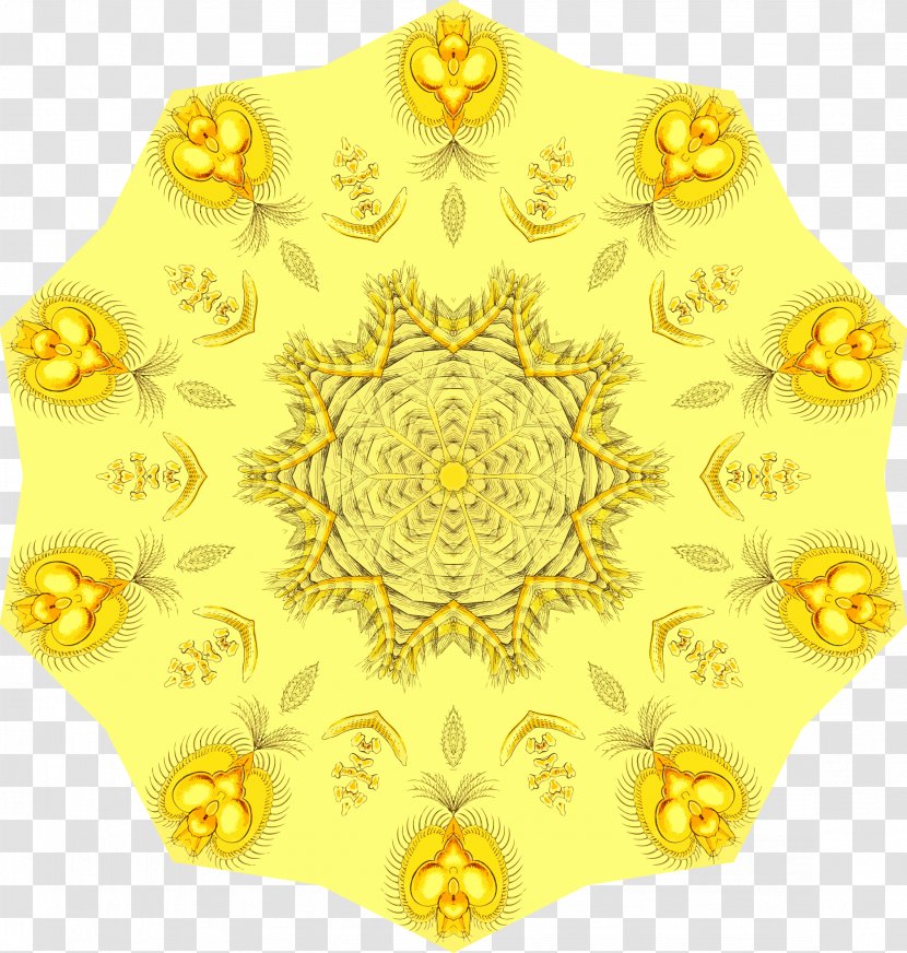 Circle Rotational Symmetry - Paintnet - Gold Flourish Transparent PNG