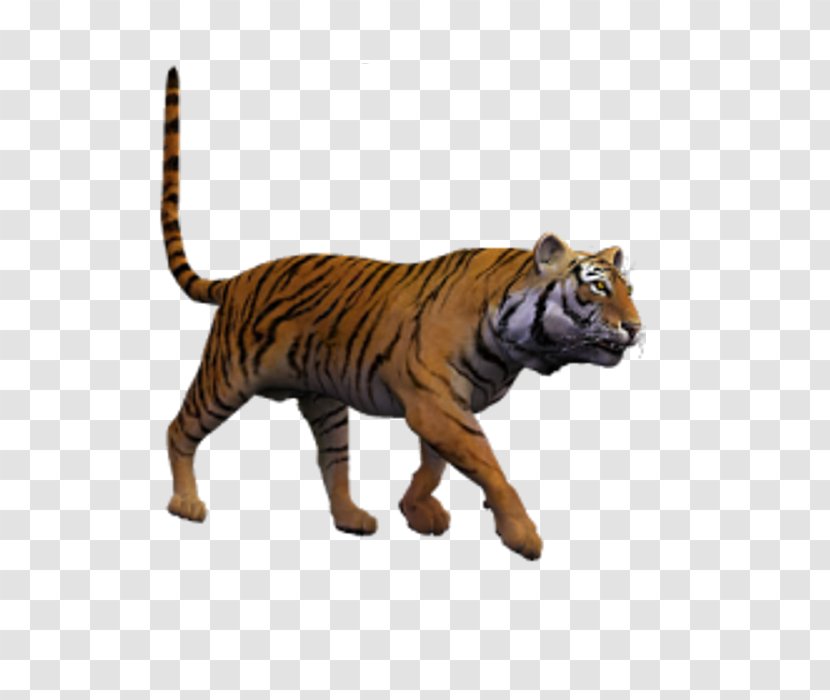 The Sims 2 Computer Tiger Information - Wilde Transparent PNG