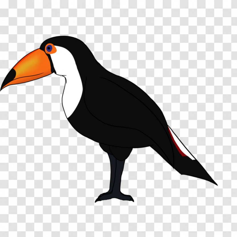 Beak Water Bird Toucan Clip Art - Toco Transparent PNG