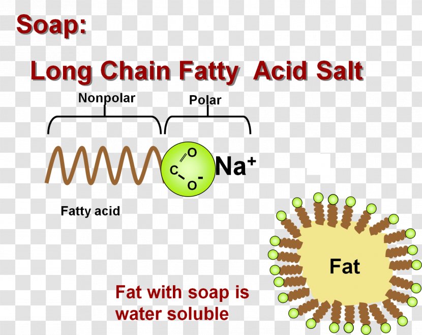 Fatty Acid Lipid Salt - Fat Transparent PNG