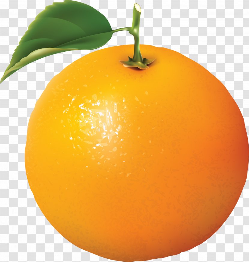 Juice Orange Citrus Clip Art - Mandarin - Image, Free Download Transparent PNG