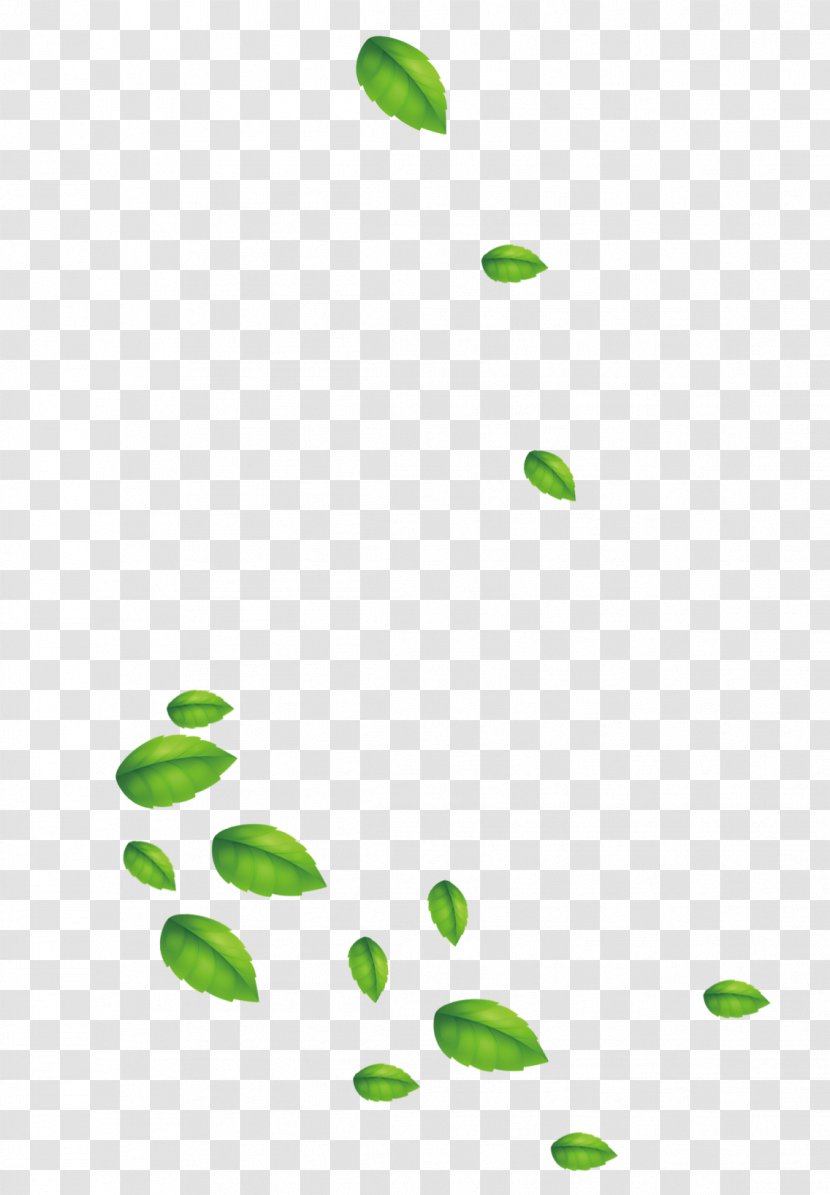 Leaf Designer - Floating Material - Green And Fresh Leaves Transparent PNG