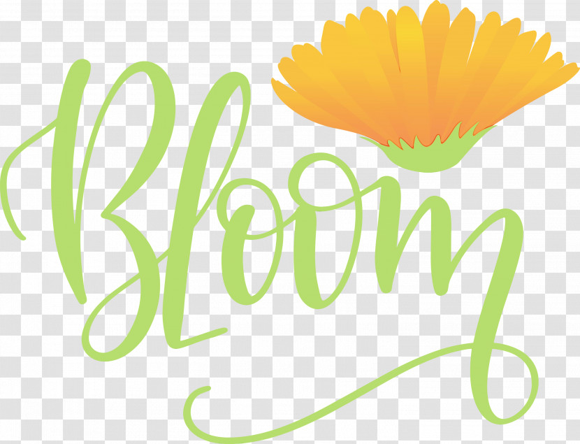 Logo Text Daisy Family Flower Transparent PNG