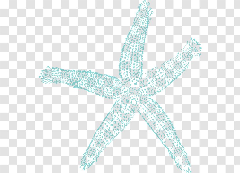 Starfish Turquoise Pattern - Beach Cliparts Borders Transparent PNG