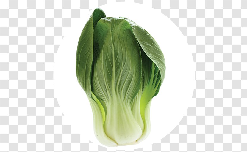 Cabbage Leaf Vegetable Food - Bok Choy Transparent PNG