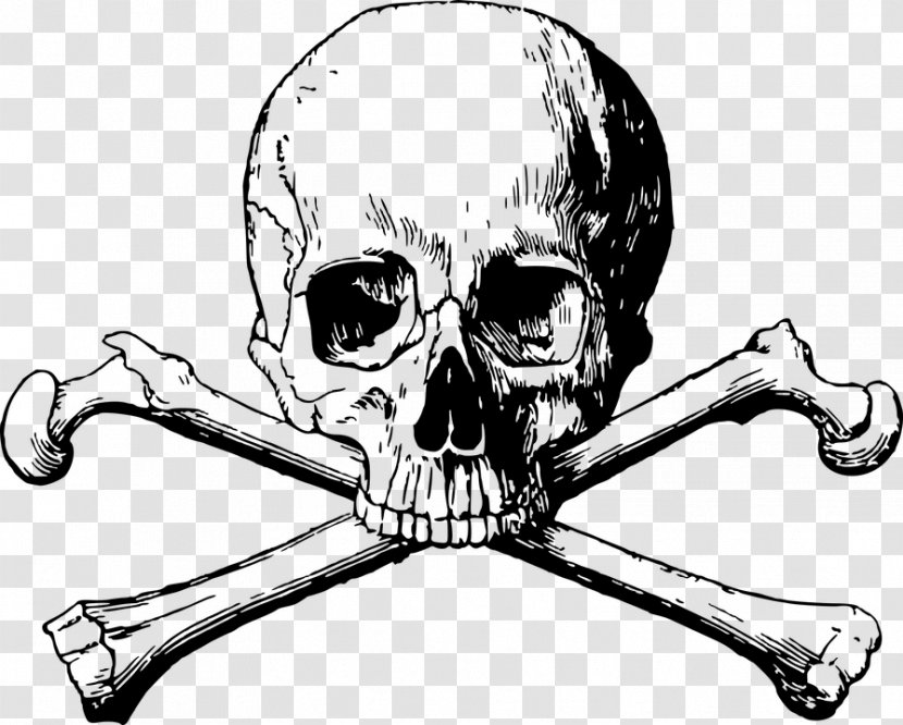 Skull And Bones Crossbones Human Symbolism - Black White Transparent PNG